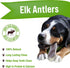 Buck Bone Organics Elk Antlers for Dogs - Long Lasting Dog Chews for Aggressive Chewers - All Natural (Jumbo)