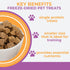 2.5 oz Momentum Carnivore Nutrition Freeze-Dried Pork Training Bites Two Ingredients-Pork Kidney and Heart, Grain-Free