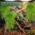 RAINFLOW 3PCS Artificial Terrarium Plants - Lifelike Reptile Habitat Vines, Fake Hanging Plants with Bendable Vine