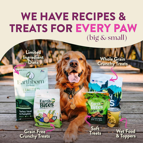 12.5 lb Earthborn Holistic Meadow Feast Lamb Meal & Vegetables Grain-Free Dry Dog Food