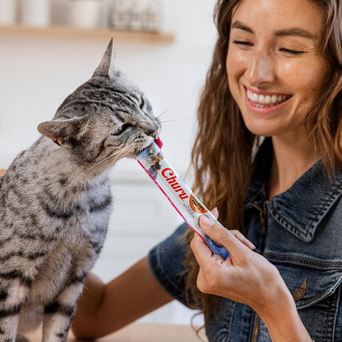 0.5 60 INABA Salmon Churu Cat Treats, Lickable, Squeezable Creamy Pure Cat Treat with Green Tea Extract & Taurine