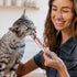 0.5 60 INABA Salmon Churu Cat Treats, Lickable, Squeezable Creamy Pure Cat Treat with Green Tea Extract & Taurine