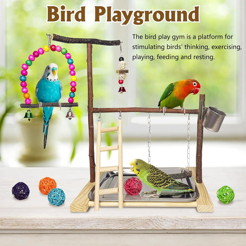 Finch Bird Playground Parrot Playstand Parakeet Gym Playpen Cockatiel Play Stand Wood Perch Exercise Activity Center