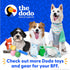 The Dodo All Nylon Yellow Collar and Leash Set, Small, Waterproof Matching Set for Beach Day or Lake Trips