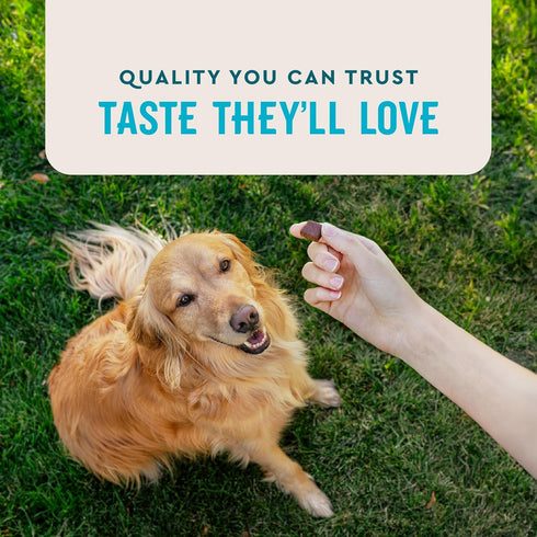 VetIQ Advanced Hip & Joint Chews for Dogs, 60 Count, Chicken Flavored Supplements with Glucosamine, Omega 3’s &