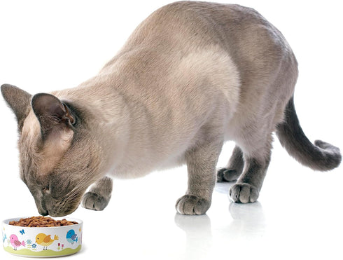 PetRageous 17011 Early Bird Cat Bowl, 2-Cup Capacity, 5-Inch Diameter, 2-Inch Tall, White, Dishwasher Safe
