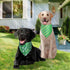 QUQULE 3PCS, Valentines Dog Bandana St Patricks Day and Easter Dog Bandana Small Colorful Scarf for Boy and Girl