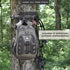 Insights Hunting by frogg toggs, Carry All Tree Strap