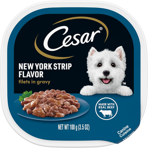 CESAR Filets in Gravy Adult Wet Dog Food - New York Strip Flavor, 3.5 oz., Pack of 24