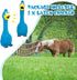 Hungdao 2 Pcs Horse Toys - 11 Inches Latex Rubber Chicken Dog Toy for Separation Anxiety (Blue)