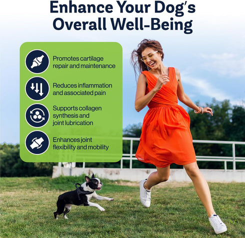 Level Up Pup LVL Up Pup Dog Joint Supplement for Senior Dogs Hip & Joint Supplement for Dogs with Glucosamine