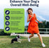 Level Up Pup LVL Up Pup Dog Joint Supplement for Senior Dogs Hip & Joint Supplement for Dogs with Glucosamine