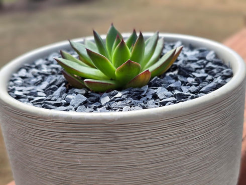 Natural Slate Stone - 1/8 to 1/4 inch Slate Gravel for Aquariums, Bonsai, and Miniature Gardens