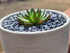 Natural Slate Stone - 1/8 to 1/4 inch Slate Gravel for Aquariums, Bonsai, and Miniature Gardens