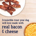 Stewart Freeze Dried Dog Treats, PuffPops Bacon and Cheese Recipe, Gluten Free, 2.8 Ounce Pouch, Made in USA
