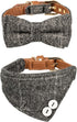 Small Dog Collar & Bandana Set for Puppy Cat, 2pcs PU Leather Canvas Scarf, Durable Grey Classic