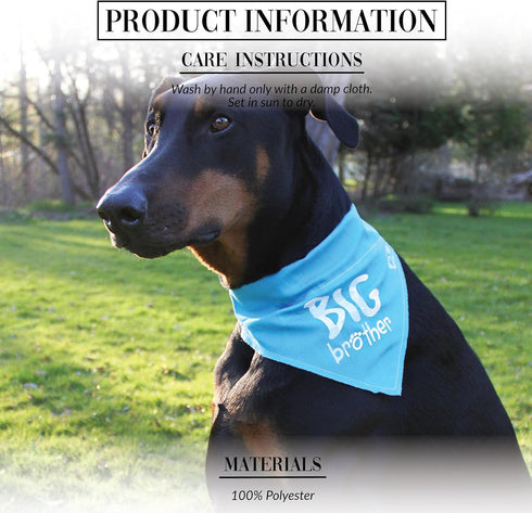 Pavilion Gift Company Big Brother Blue Paw Print Large Dog Slip on Collar Bandanna