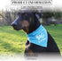 Pavilion Gift Company Big Brother Blue Paw Print Large Dog Slip on Collar Bandanna