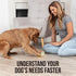 Talking Buttons for Dogs, Dog Training Push Buttons with 6 Speaking Buttons and 24 Command Stickers