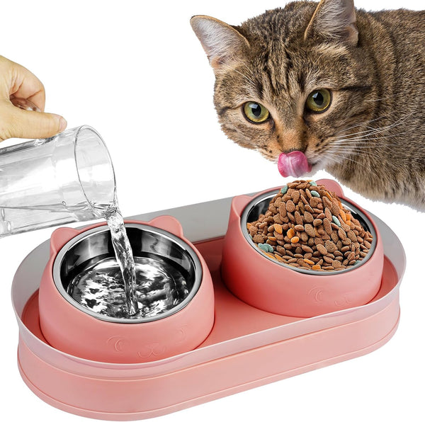 Elevated Cat Food Bowls, Raised Stainless Steel Bowl Set, Tilted Anti Vomiting Double Cat Food and Water Bowls