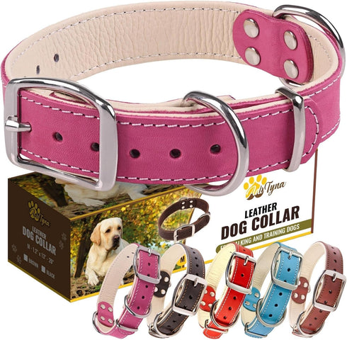 ADITYNA Heavy-Duty Pink Leather Dog Collar for Medium Dogs, Soft Lined Girl Collar for Walking, Training, Hiking