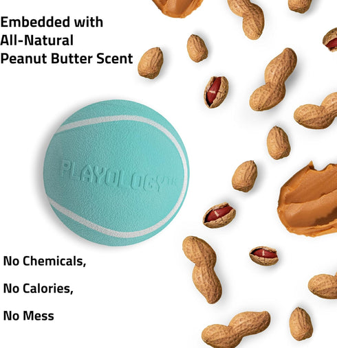 Playology Squeaky Dog Toy - Durable Rubber Interactive Ball, Peanut Butter Scented Fetch Ball for Medium Dogs