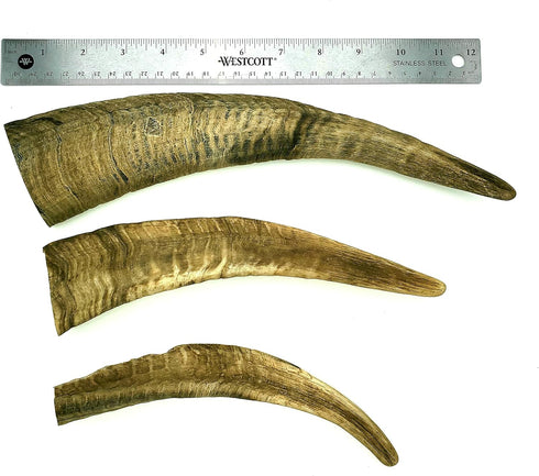 Chews Dried Goat Horns Dog Chew - Large 1 pc