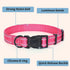Mile High Life Nylon Night Light Glow Collar for Medium Dogs, Reflective Band Cat Collar, Safe Night Walk (Pink, XS)