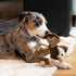SPOT Dura-Fused Leather Jungle Animals Dog Toy with Squeakers and Rope Limbs, 14in, Assorted Styles