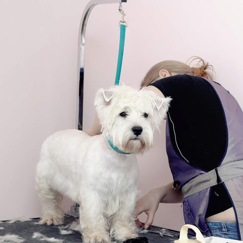 (3/8" 25", Jelly Pet Grooming Loop Slip Style x Purple) | Made in The USA