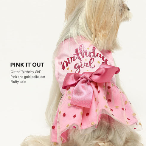 Fitwarm Dog Tulle Dress for Birthday Girl, Pink, Large, Dog Clothes for Small Dogs Girl, Cat Apparel