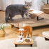 5" Ceramic Cat Bowl with Paws Pattern, Healthy Cat Dishes for Food and Water, Dishwasher Safe & Microwaveable
