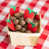 Apple Pops Organic Dog Treats, 6 oz Bag - Made with Real Apples