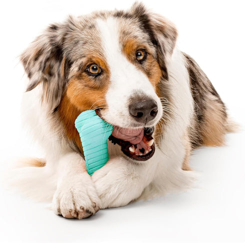 Playology Dog Toys, Dual Layer Bone Chew Toy for Dogs, Jumbo Peanut Butter Scented, Non-Toxic Materials