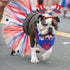 4th of July Dog Costume Accessories - 6 Pieces Includes Bandanas, Tulle Tutu, Patriotic Headbands for Dogs