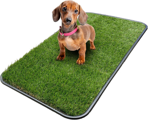 Ottomanson Artificial Grass Puppy Potty Training Pad with Tray, 15" x 30", Reusable Pee Pad for Small Pets and Dogs