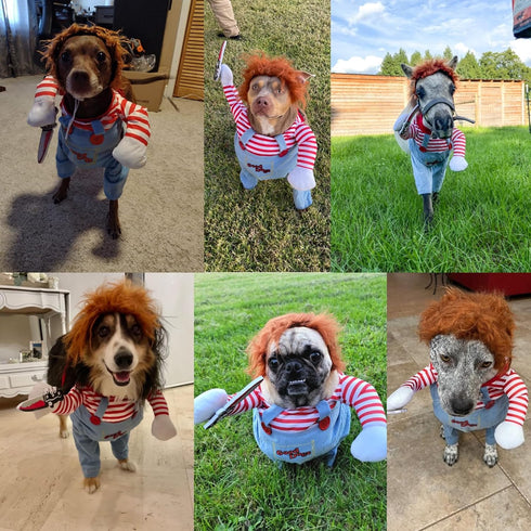 Pet Deadly Halloween Costume, Funny Dog Outfit for Halloween Christmas, Adjustable Apparel for Dogs (Large)