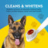 1 3 oz, RADIUS USDA Organic Canine Pet Toothpaste Unit, Non Toxic Toothpaste for Dogs, Designed to Clean Teeth and Help