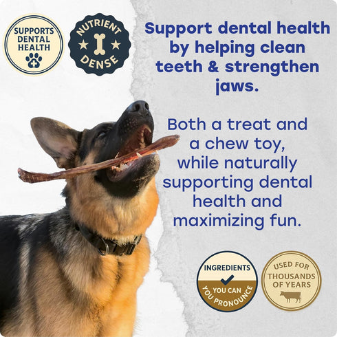 Texas Rancher Bones LLC 6 inch (12 Pack)- Bully Stick for Dogs Natural, Grass-fed Beef, Long Lasting Dog Chews, Rawhide