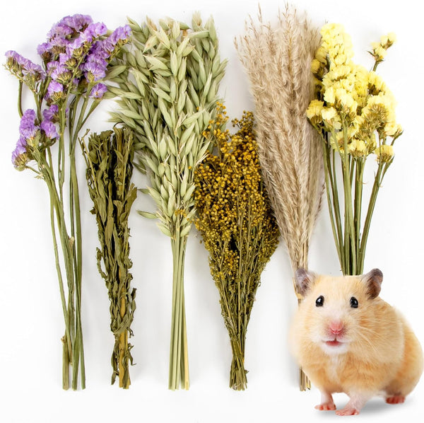 Sukh 42Pcs Herb Bedding Habitat Decor - Natural Flower Hamster Mate Herbs