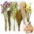Sukh 42Pcs Herb Bedding Habitat Decor - Natural Flower Hamster Mate Herbs