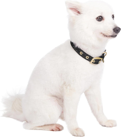 Blueberry Pet Designer Mixed Metallic Thread Adjustable Dog Collar, Holographic Shining Black, Neck 9-12.5", for Small
