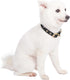 Blueberry Pet Designer Mixed Metallic Thread Adjustable Dog Collar, Holographic Shining Black, Neck 9-12.5", for Small
