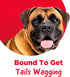 Country 2 Count Kitchen Rawhide Free Chicken Dog Chews, for Large Dogs, Made with Real Chicken, No Wheat, Corn or Soy