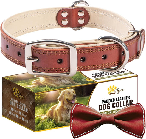 ADITYNA Heavy-Duty Premium Leather Dog Collar for Extra-Large Dogs, Padded with Soft Genuine Leather