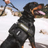 EXCELLENT ELITE SPANKER Tactical Military Dog Harness, Adjustable No-Pull Training Vest with Handle (Gry-S)