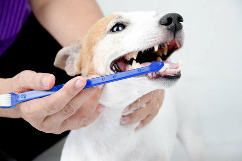 Duke's Pet Products Two-Piece Dog Toothbrush Set: Double Sided Canine Dental Hygiene Brushes with Long