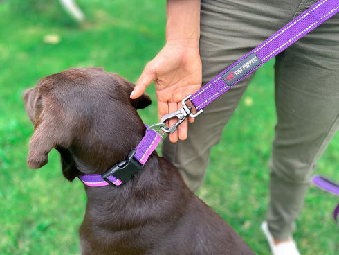 Tuff Pupper Heavy Duty Dog Leash with Double Handle, Reflective Safety Locking Carabiner for Medium & Large Dogs