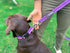 Tuff Pupper Heavy Duty Dog Leash with Double Handle, Reflective Safety Locking Carabiner for Medium & Large Dogs