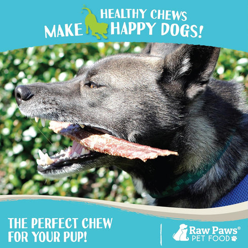 Raw Paws 6-inch Beef Esophagus Dog Treats, 16-Ounce - Free Range Beef Gullet Sticks - Dog Taffy Chews